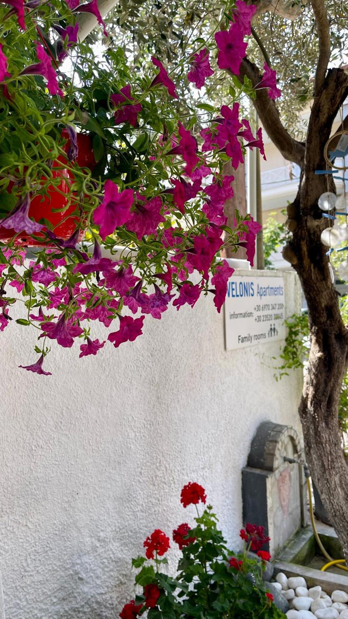 Velonis Apartments ليبتوكاريا المظهر الخارجي الصورة
